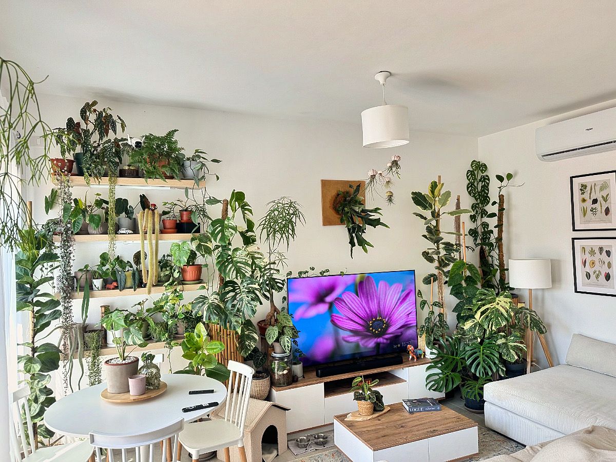 תכנון והקמה צמחית פנים פרטי וציבורי